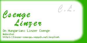 csenge linzer business card